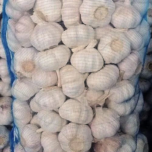 Garlic in mesh bag