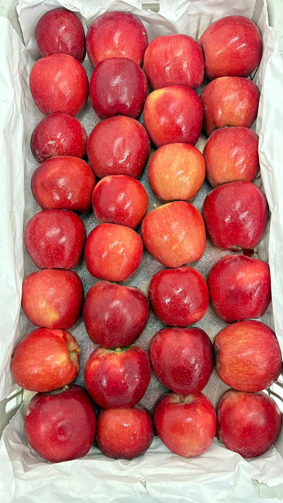 Iran Apples